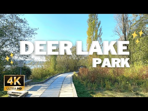 Walk Around Beautiful Deer Lake Park in Burnaby BC [4K]