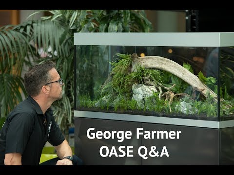 George Farmer Aquascaping Q&A with OASE