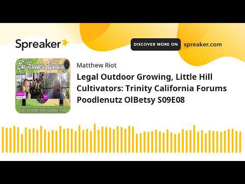 Legal Outdoor Growing, Little Hill Cultivators: Trinity California Forums Poodlenutz OlBetsy S09E08