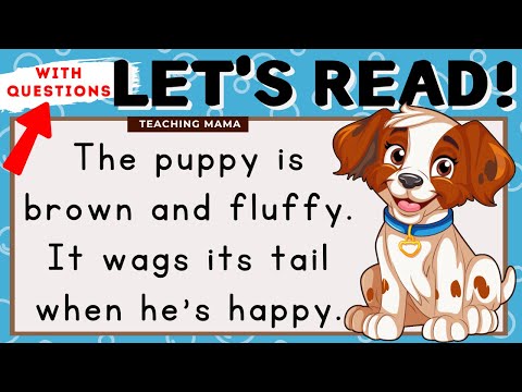 LET'S READ! | READING COMPREHENSION | PRACTICE READING SIMPLE ENGLISH FOR KIDS | TEACHING MAMA