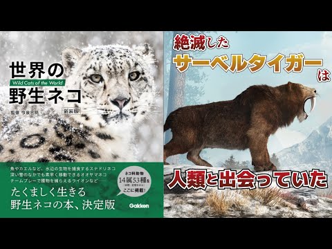 絶滅したサーベルタイガーは、人類と出会っていた。