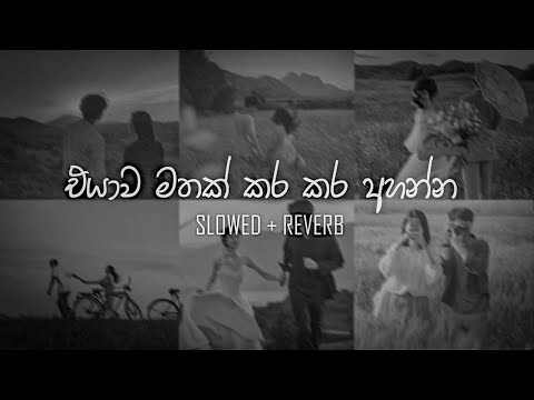 එයාව මතක් කර කර අහන්න sinhala Slowed + Reverb (collection) | DEZTER BEATS