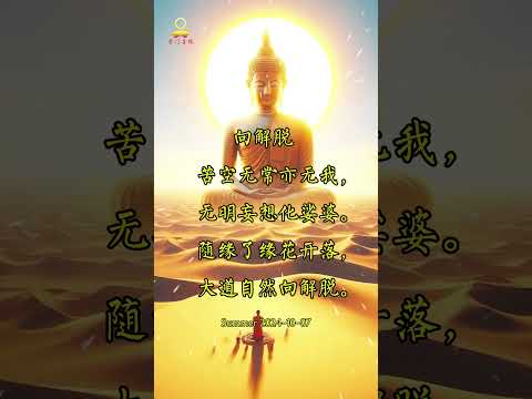 生命的意义，觉醒解脱#buddha #南无阿弥陀佛 #佛教 #南无本师释迦牟尼