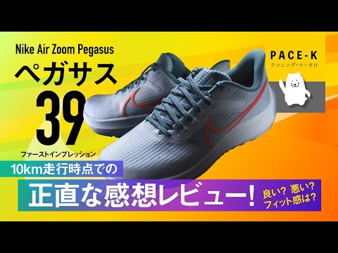 【最強に走りやすい】NIKEペガサス39のファーストインプレッション