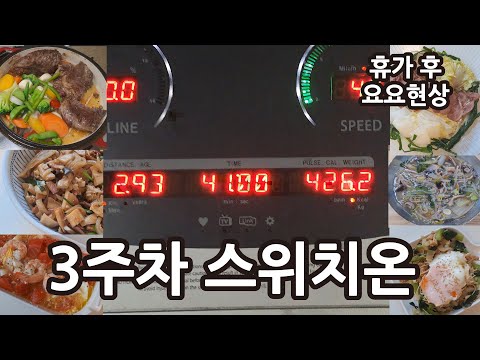 스위치온 다이어트 3주차 후기 | 요요현상 |  단백질 쉐이크 챌린지 | 인바디 결과 비교 공개 | 단식