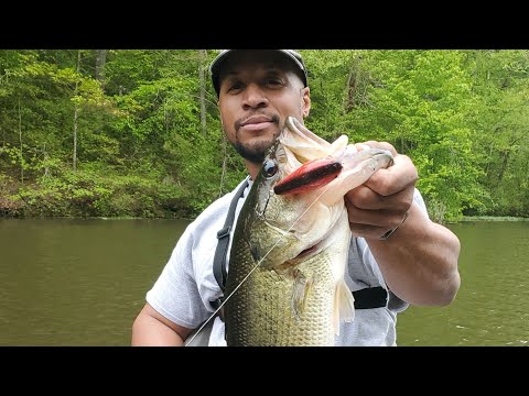 Big Bass Crushes Crankbait! #killaoutdoors #virginia #bigbass #countryboy #spawn #fyp #FY #crankbait