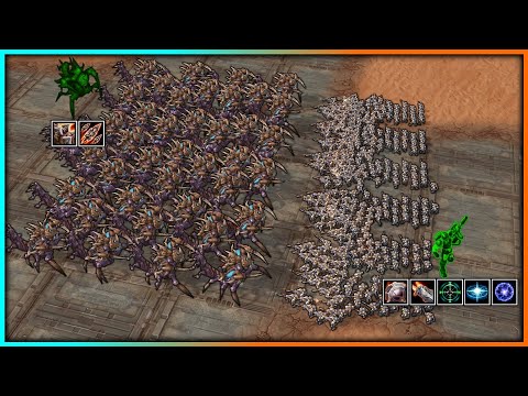 Will 40 Brutalisks survive 300 Ghosts?【Daily StarCraft Brawl】