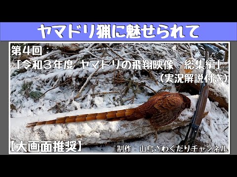 ヤマドリ猟に魅せられて 第４回 令和３年度猟期 ヤマドリの飛翔映像 総集編 (山鳥猟) Copper Pheasant hunting