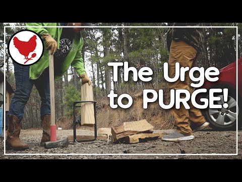 The Urge to Purge! and Cheeseburger Calzones