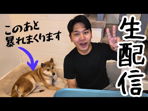 【生配信】バンクーバーから愛犬ゆずと一緒に雑談タイム