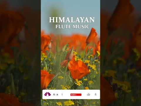 Morning Flute Music | Himalayan Flute Music | Meditation Music | (बाँसुरी) Aparmita Ep. 104 Shorts