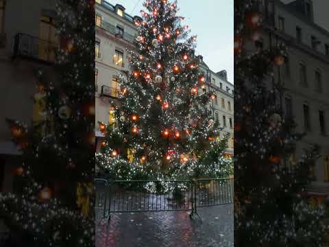 This is beautiful #christmas #yt #travel #holiday