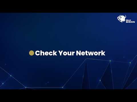 WATCH THE VIDEO ON HOW DEPOSIT ON SUI BISON NETWORK PROJECT ( link on description of this video)