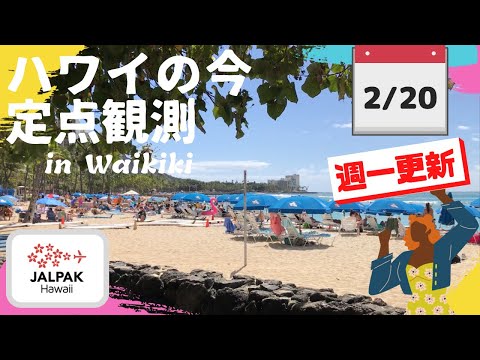 【ハワイの今】ワイキキ定点観測  2024年2月20日