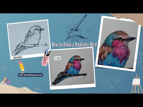 How to Draw Realistic Birds:A Step-by-Step Tutorial in tamil #birddrawing