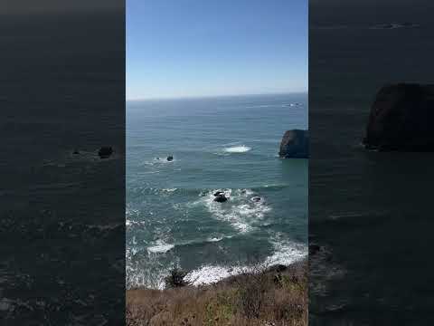 #oregoncoast #oregon #saltwater #pacificocean #pacificcoast #sea #beach #viralvideo