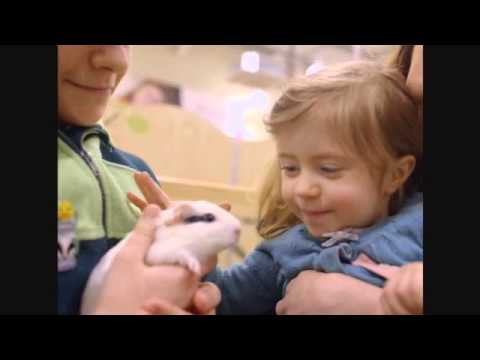 Pets at Home #MyPetMoments - 60 second TV ad