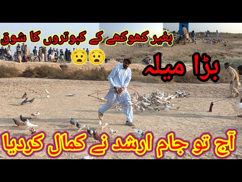 Jam Arshad//آج تو جام ارشد نے کمال کر دیا بغیر کھوکھے کبوتروں کو اوڑایا // بڑا، میلہ#pigeon#bird