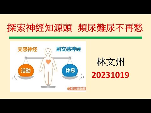 探索神經知源頭  頻尿難尿不再愁－林文州20231019