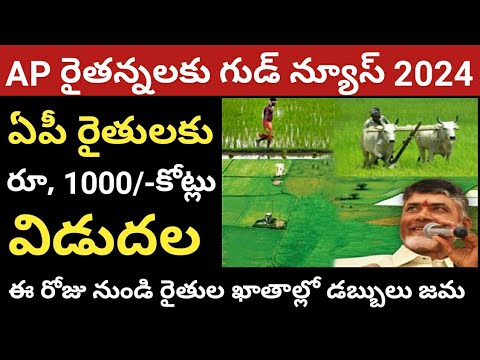 AP రైతులకు రూ, 1000 కోట్లు విడుదల  ||ap paddy amount release 2024@ConnectingChandra