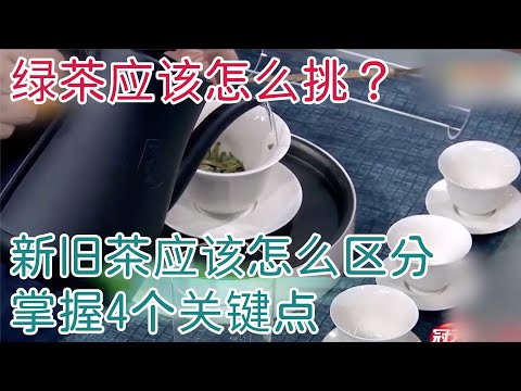 挑选绿茶方法多，国家一级评茶师带你来喝茶【神医宇宙】