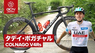 プロバイク紹介│タデイ・ポガチャルのコルナゴ V4Rs ツール・ド・フランス 2023