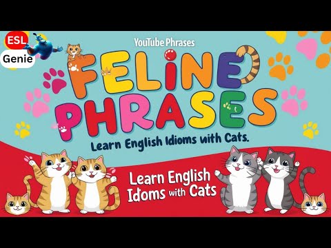 🎵🐱Feline Phrases: cat idioms! #idioms #esl #singandlearn #eslsong #idiom #singalong #cats #cat