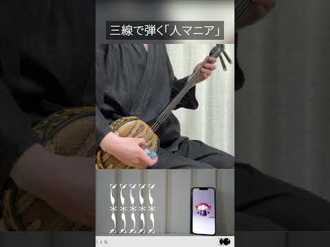 【和楽器】人マニアを三線で弾いてみた #shorts