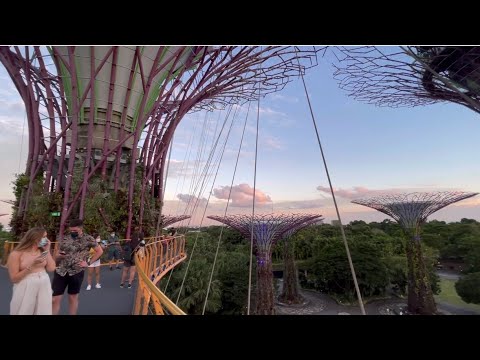 01- lifestyle - 00017 - Skyway@ Gardens by the Bay 空中步道 Singapore Top 20 Weekend Activities! 最佳週末活動