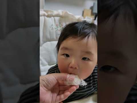 おにぎりで優勝する０歳児【309Days】 #baby