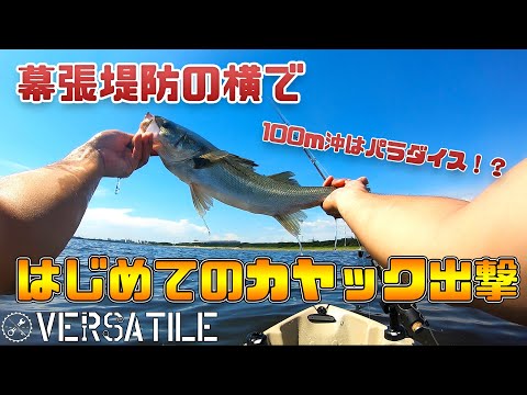 検見川浜堤防は100ｍ沖に出るだけで魚だらけでした