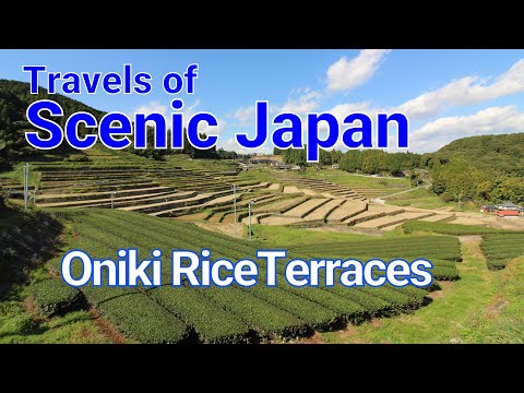 【429】Oniki Rice Terraces / Travels of Scenic Japan / Tabiator