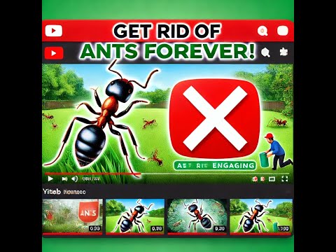 3 Easy Steps to Make Your Yard ANT FREE FOREVER!