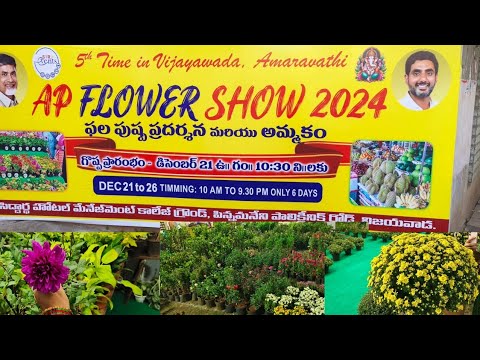 AP flower show ఇప్పుడు మన విజయవాడలో//Vijayawada wholesale prices//