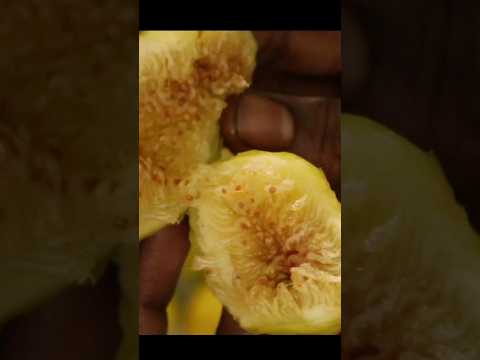 yellow fig fruit ఎప్పుడైనా చేశారా నేనైతే 1st time చూశాను #fruit #figfruit #trend #viralvideo #trend