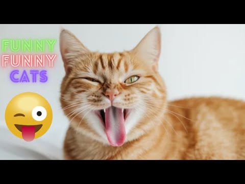 Funniest Cat Videos in The World😂 Funny Cat Videos 😹 Funny Cat Videos Try Not To  Laugh 😺😹 Part 120