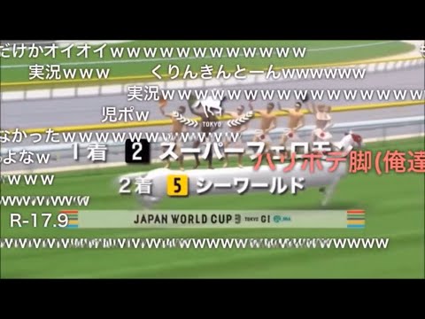 【コメ付き】JAPAN WORLD CUP 3 〜第5レースー2〜 (60FPS)