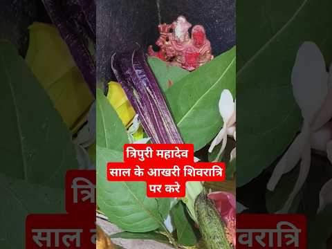 29 दिसंबर शिवरात्रि पर करे यह एक उपाय #shortvideo #महादेव