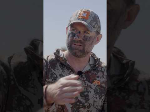 One Rough Cuts episode features Tony Peterson taking Steve on a public land whitetail hunt.