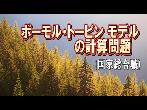 マクロ経済学・ボーモル=トービン モデルの計算問題（国家総合職の経済理論）ーHandout