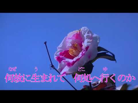 【新曲】人生にありがとう　伍代夏子 オリジナル