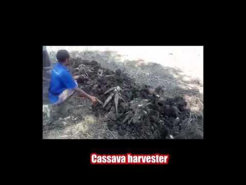 Cassava harvester