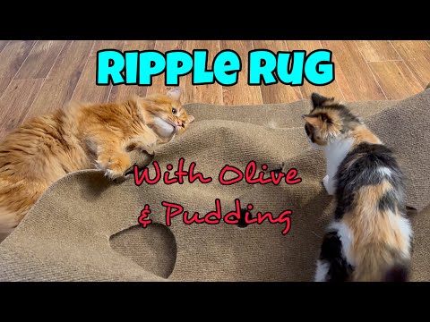 Ripple Rug with Olive and Pudding