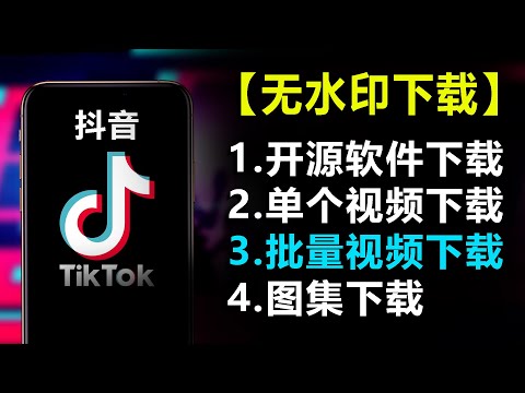 #3【开源软件】抖音无水印视频免费下载系列教程| 3.批量视频下载| 分享链接批量下载| 免费exe软件| 一键全速无水印下载| exe文件无水印下载| 命令行无水印下载| 源代码下载| TikTok