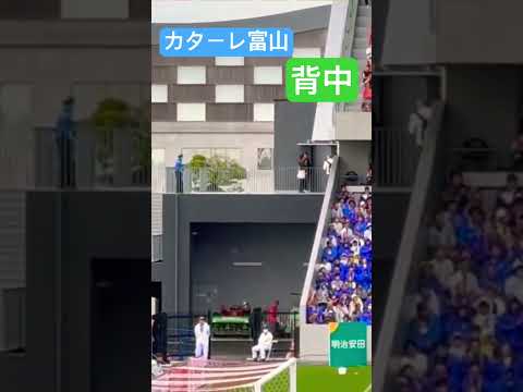 カターレ富山【背中】チャント ツエーゲン金沢戦 #shorts #soccer #カターレ富山 #応援図鑑