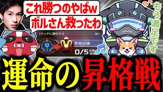 シーズン19プレデター昇格戦に挑戦するぼるず【VOLzZ/Mia.K/tttcheekyttt/切り抜き】