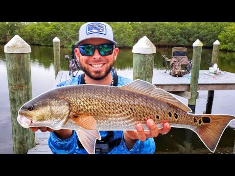 Dock Fishing With LIVE Bait | Things Went WRONG