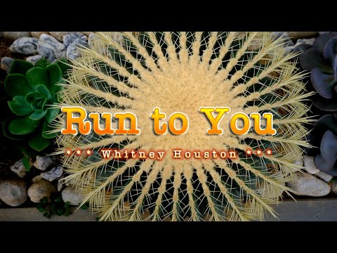 RUN TO YOU - (Karaoke Version) - in the style of Whitney Houston