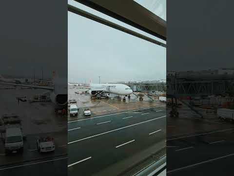 Rainy day at Haneda Airport #travelvlog #japan #japantravel #hanedaairport #tokyo