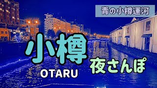 【北海道小樽観光】小樽運河/小樽堺町通り商店街/小樽オルゴール堂をおさんぽしました。